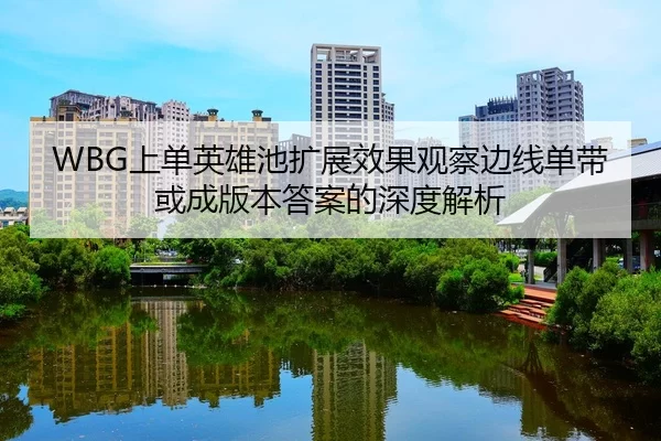 WBG上单英雄池扩展效果观察边线单带或成版本答案的深度解析